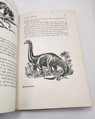 Vtg Prehistoric Animals Sam and Beryl Epstein 1956 1st Print Mylar HCDJ