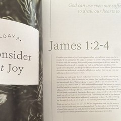 The Daily Grace Co. James: The Steadfast Life Schmucker PB 2017 Study Guide