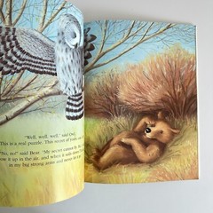 Brown Bear’s Wonderful Secret book by Caroline Castle (Paperback)