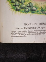 Little Golden Book – Various Titles – Lot of 10 Vintage