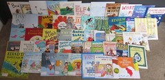 50 AR Accelerated Reader Titles – Reading Levels 2.1 – 3.6 Labeled & Ready!