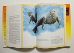 Man After Man: An Anthropology of the Future by Dougal Dixon