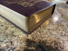 Salem Kirban Reference Bible King James Version Leather Bound AMG PUBLISHERS