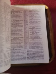 NIV Study Bible 1985 Blue Hardcover 1984