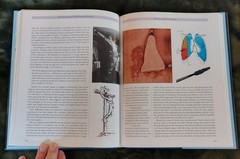 The Turin Shroud: The Illustrated Evidence by Ian Wilson & Barrie Schworz HBDJ