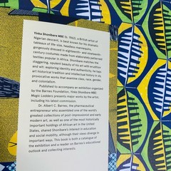 Yinka Shonibare MBE: Magic Ladders