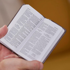 Holy Bible: Pocket New Testament with Psalms and Proverbs, Black, KJV
