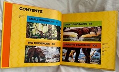 Lot 2 Dinosaur books National Geographic Kids Dino-Pedia and First Big Book