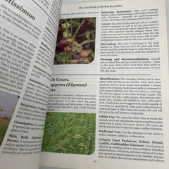 The Lost Book of Herbal Remedies by Davis & Apelian 2020 Paperback