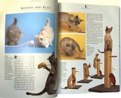 The Complete Book of The Cat Hard Cover Vintage 1992 Paddy Cutts