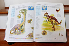 Dinosaurs & Other Prehistoric Animals Book 448 Pages, Amber Books – VGUC