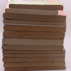 Lot of 14 Young Readers Books – Apple Fiction, Dell and More