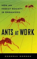 Deborah Gordon Ants At Work (Paperback) (UK IMPORT)