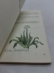 HOODOO MEDICINE Faith Mitchell Sea Islands Herbal Remedies 1978 First Edition
