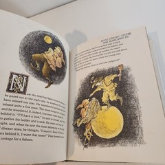 The Star Thief by Andrea DiNoto and Arnold Lobel 1st Printing Macmillan Company