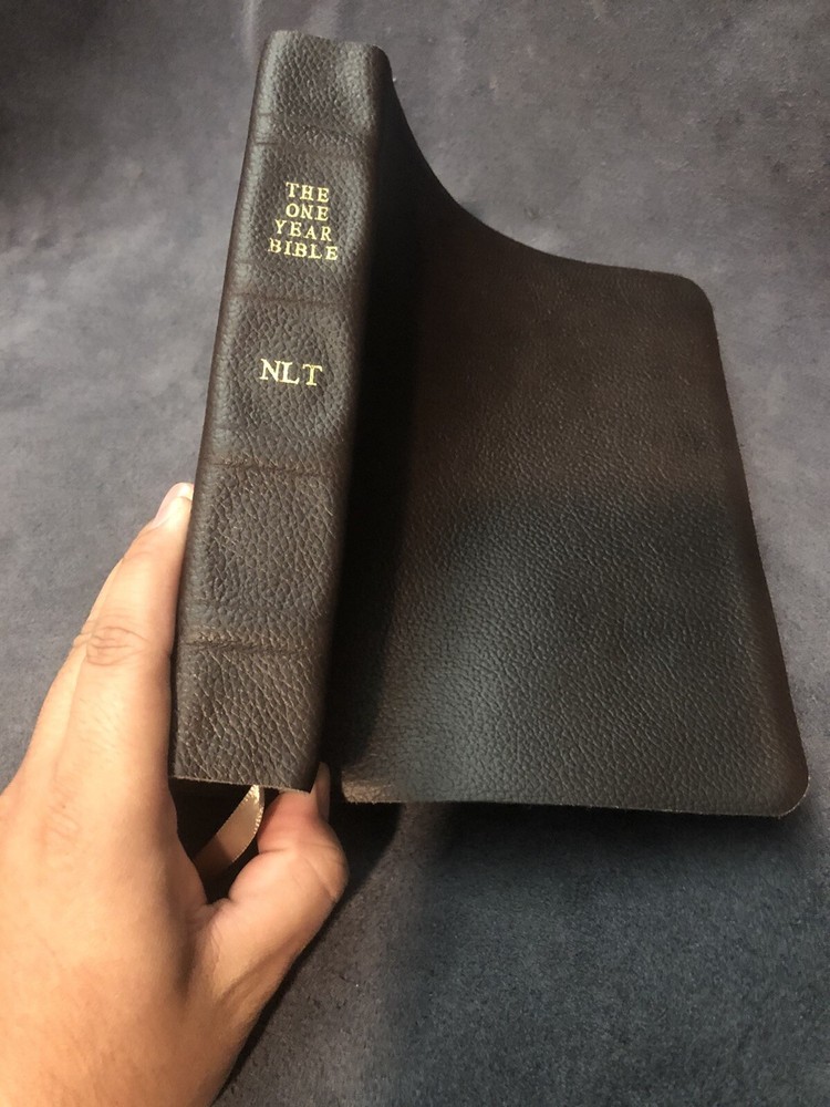 One Year Nlt New Living Translation Expressions Bible Brown Leather Journaling