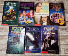 Lot of 28 Grade 3-6 Chapter Books Novels 14lbs / 39 Clues, ECHO , School of Fear