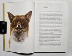 Rien Poortvliet: … und jeder Fuchs hat seinen Bau, Kosmos 2001, HC