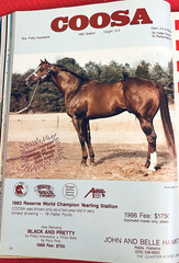 SALE ENDS 6/15! 1986 QUARTER HORSE JOURNAL Book – DYNAMIC DELUXE, ZAN PARR BAR