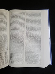 Book of Heaven – El Libro del Cielo | Luisa Piccarreta | Volúmenes 1–36 | Edició