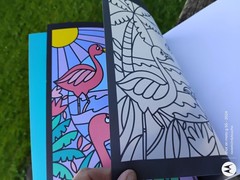 Stained Glass Coloring Book by Usborne w 14 see-thru pages to color dated 2018