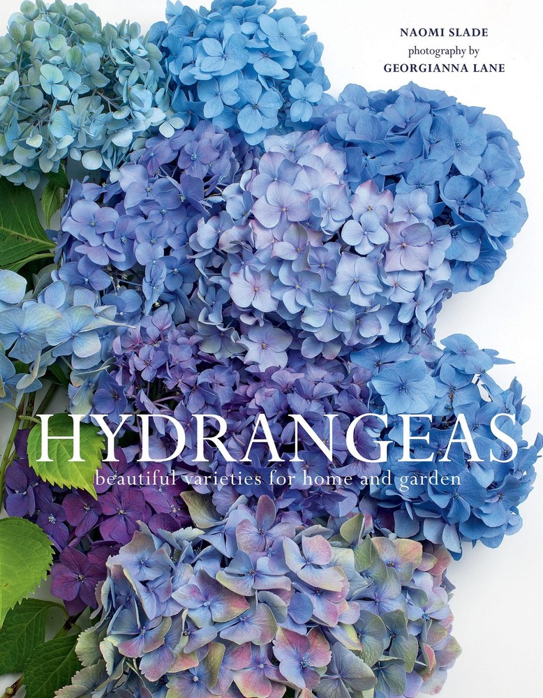 Hydrangeas: Beautiful Varieties for Home and Garden (Flowers) – hardcover La…