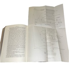 Ramon Lull and Lullism in fourteenth-century France by J. N. Hillgarth • 1971