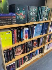 Lot of 10 Young Adult YA Books – Teen Fiction Novels Mixed Genres Bulk Lot