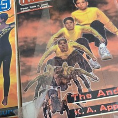 Vintage Lot of 27 Animorphs Paperback Books K.A. Applegate
