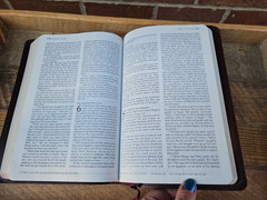 VG! TNIV Large Print Thinline Bible Deep Burgundy Bonded Leather OOP