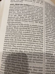 NASB Thompson Chain-Reference Bible Leathersoft Brown Red Letter 1977 Text INDEX
