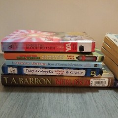 Lot of 10 Mixed Random Children’s Books and Young Adult Novels, Classic Stories