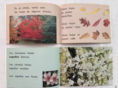 15 Spanish Children’s Books, clean pages, for pre-K 4-8 years