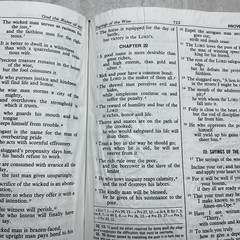 New American Bible Saint Joseph Edition 611/10B – Catholic