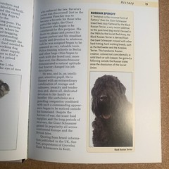 A Kennel Club Book Giant Schnauzer Comprehensive Guide To Owning And Caring For