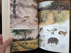 The Farm Book by Rien Poortvliet 1980 – 216 Color Illustrations –HC w/DJ VG Cond