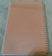 First PRESBYTERIAN Church Cookbook 260 pages LAKE PARK, IOWA Cookbook