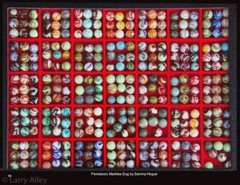 Alley Agate Marbles Photo Book 5 (rev 4) – Add Memory Card to Book Order