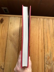 Harry Potter and the Sorcerer’s Stone: The Illustrated Edition Book 246 Pages HC