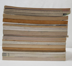 3rd Grade Chapter Books For Boys Lot of 20 Teacher Classroom Homeschool Library