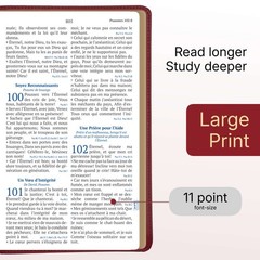 Red Louis Segond French Bible LARGE Print – LSG Bible Rouge en Français by SP