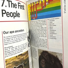 Prehistoric World Simon Schuster Illustrated Encyclopedia Michael Benton 1989