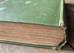 Muriel Malone or From Door to Door by Charlotte Murray (c1913 Antique Hardcover)