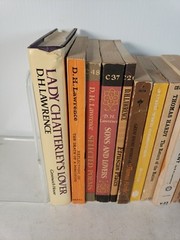 English Novelists (15 Books) D.H. Lawrence, Thomas Hardy, E.M. Forster Paperback