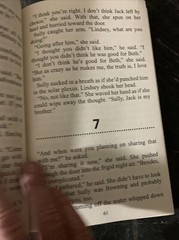 Jenn McKinlay On Borrowed Time Large Print Library Edition 2014