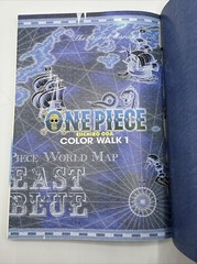 One Piece Color Walk 1 + Color Walk 2 Eiichiro Oda / Art of Shonen Jump