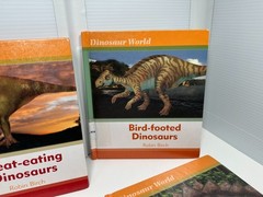 Set of 6 Dinosaur World Books Robin Birch Ex-Lib Teacher Homeschool Reading