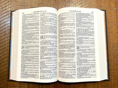 French Bible, La Sainte Bible – Segond 1910 Black Hardcover, Handheld Red Letter