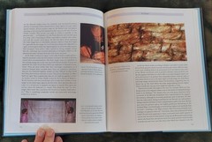 The Turin Shroud: The Illustrated Evidence by Ian Wilson & Barrie Schworz HBDJ