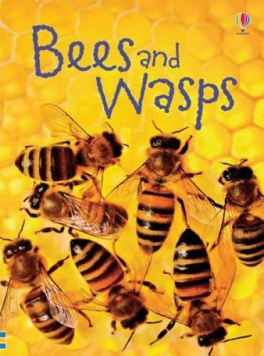 Bees and Wasps (Beginners Nature) – Hardcover By MacLaine, James – GOOD